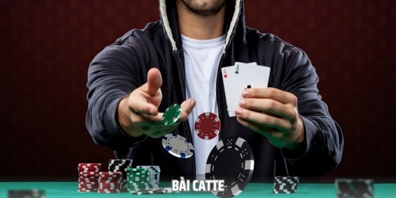 Một số mẹo chơi Catte giúp gia tăng cơ hội chiến thắng