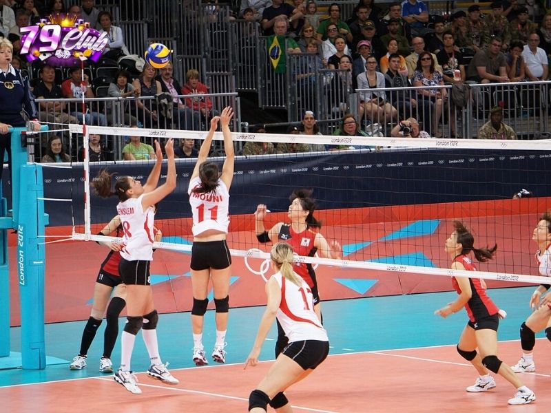 ca cuoc bong chuyen tai 79club la san choi hien dai